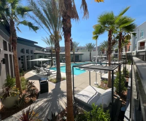 landscaping trees and plants around a commercial pool