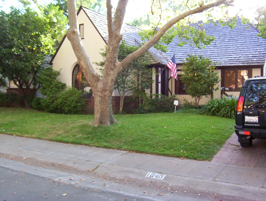 residential landscaping front yard