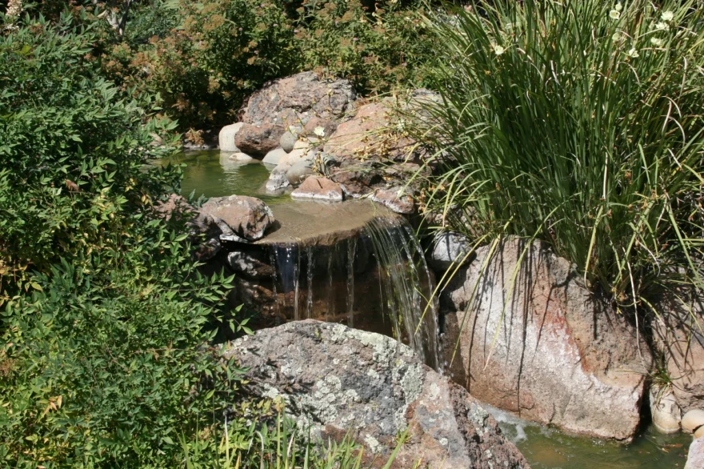 water feature in landscaping