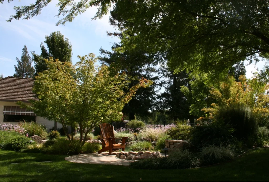 Residential landscaping backyard with resting wooden chair