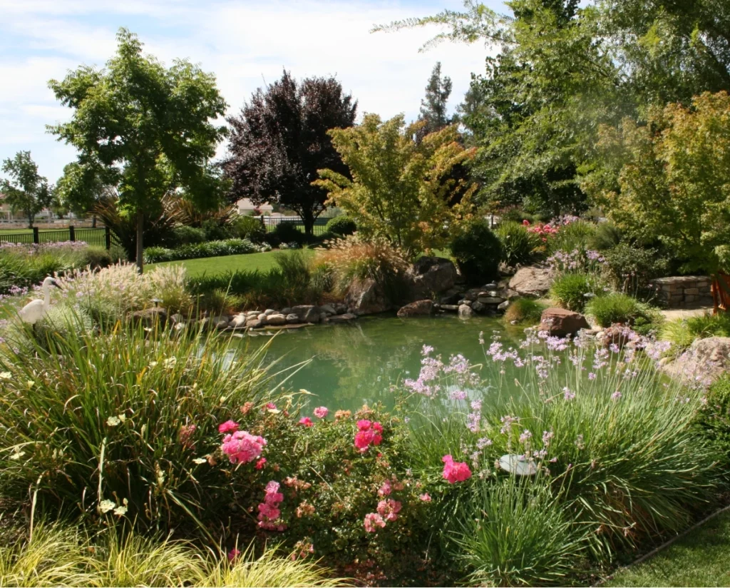 water feature pond with pink flowers around the edge