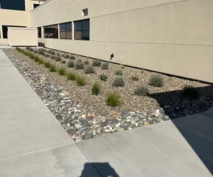 building exterior with stone landscaping and plants along a walkway