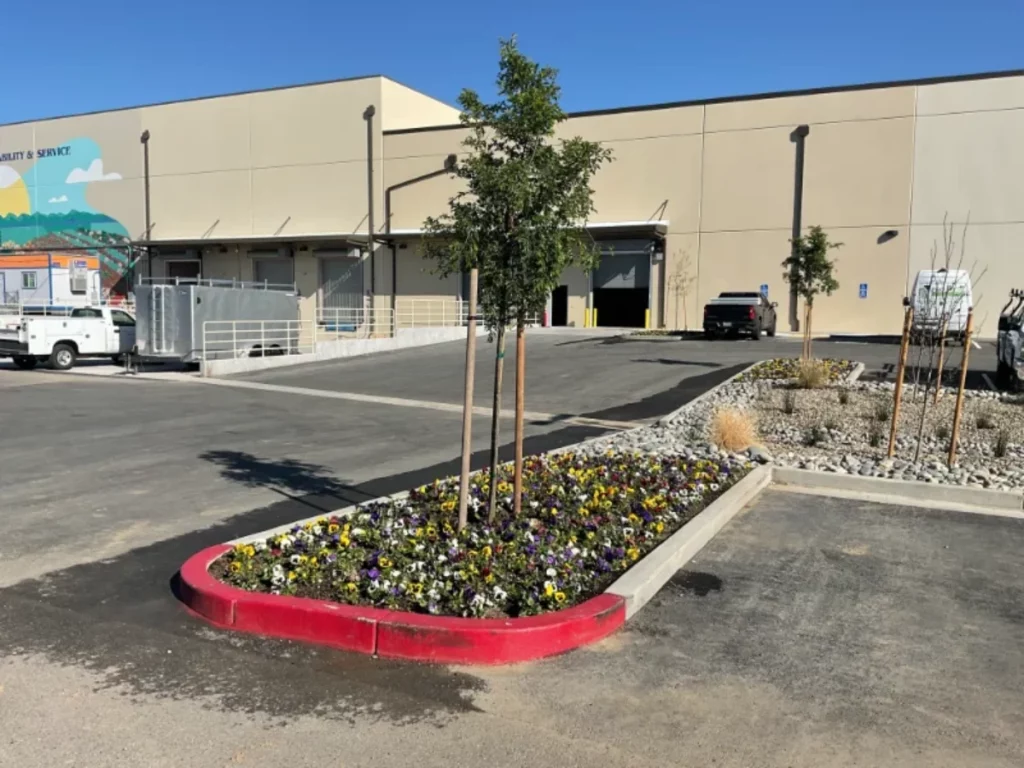 commercial parking lot with flower beds and newly planted trees