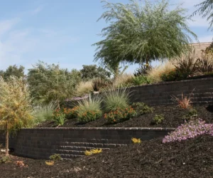 landscaped slope with tiered garden beds and trees