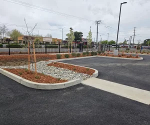 parking lot with newly landscaped areas and young trees